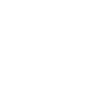 Desmor - cliente Mundo Pinguim