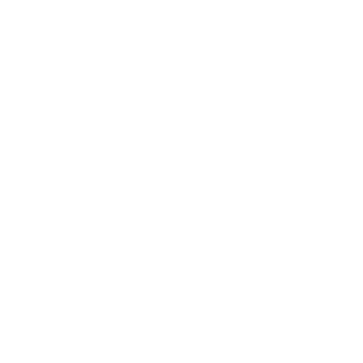 HSA - cliente Mundo Pinguim